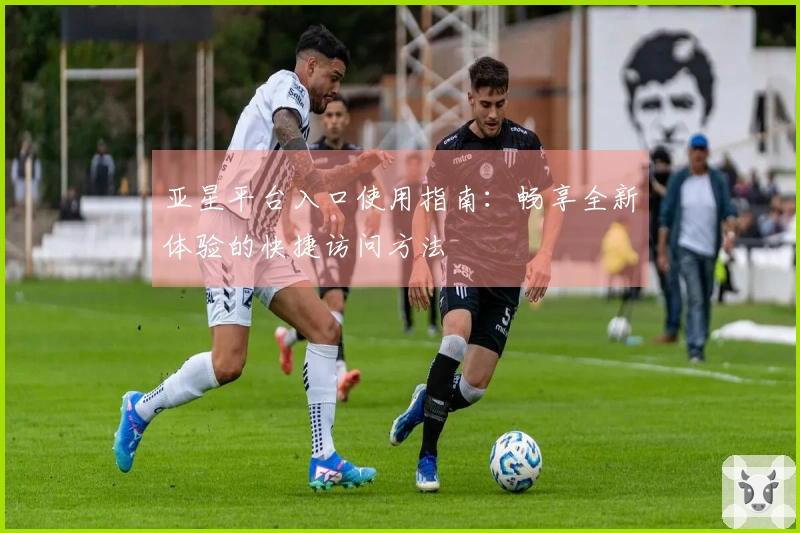 亚星平台入口使用指南：畅享全新体验的快捷访问方法